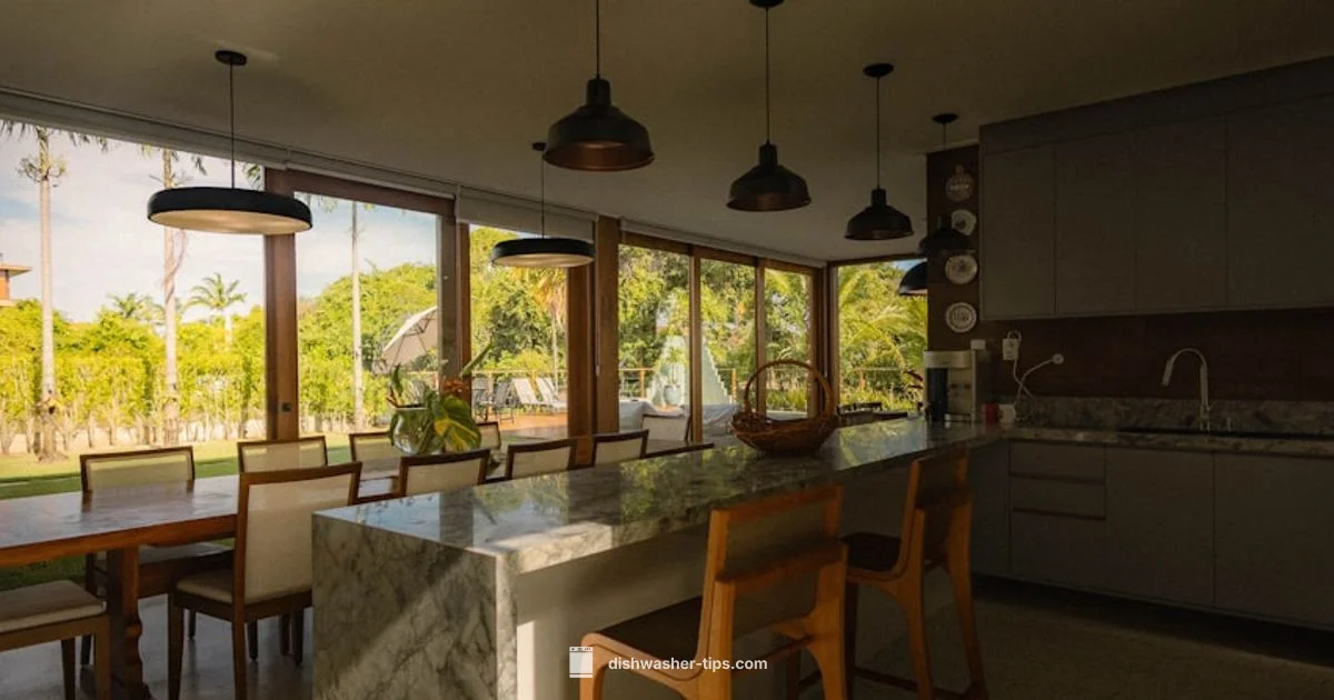 Drainage Dilemma - Dishwasher Tips