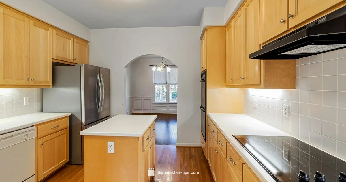 Underbench Feasibility - Dishwasher Tips