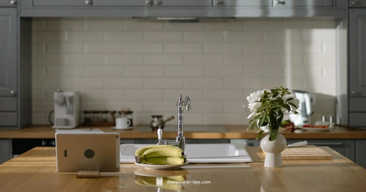 Plastic-Free Clean - Dishwasher Tips