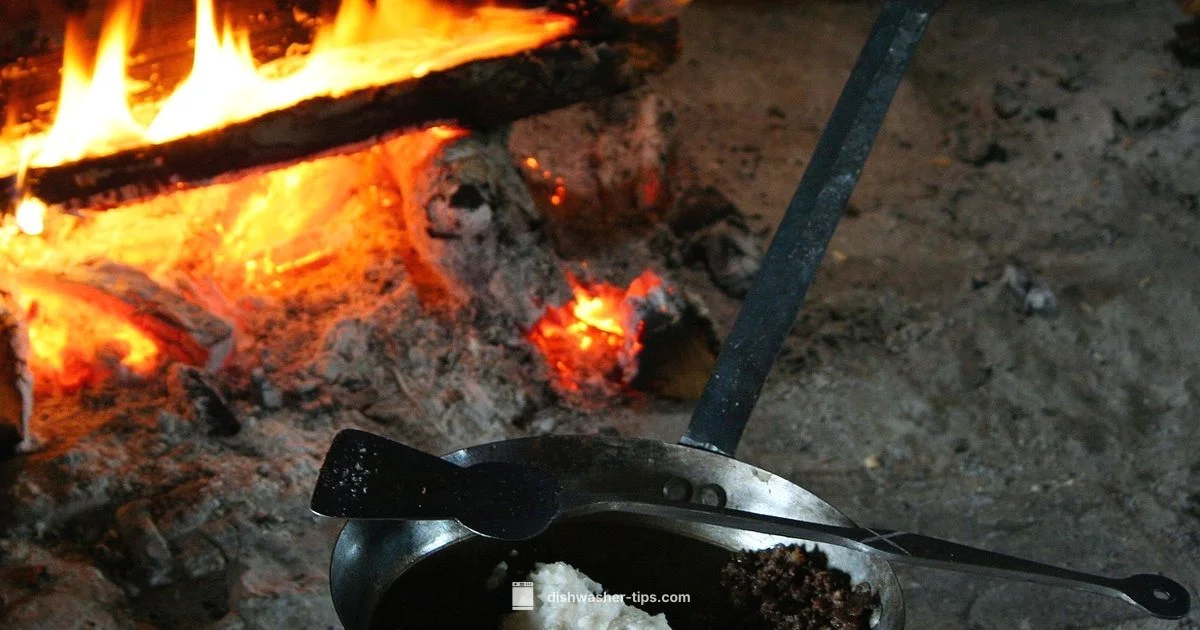 Cast Iron Dishwasher Guide - Dishwasher Tips