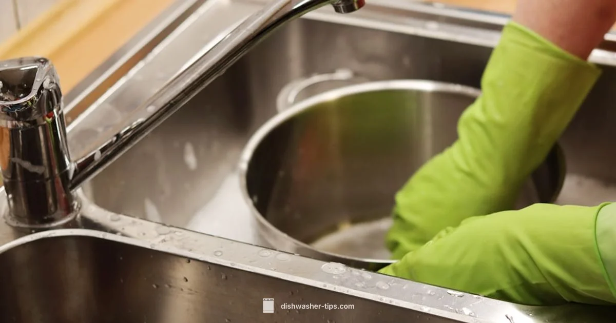 Hiring a Dishwasher - Dishwasher Tips