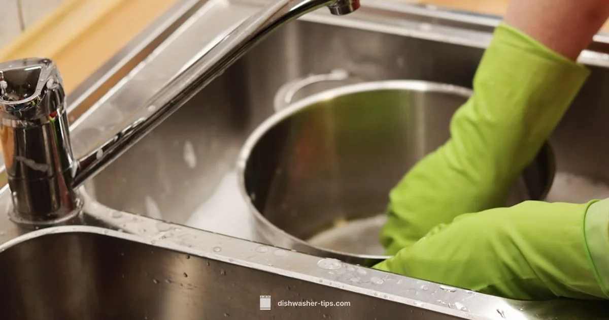 Dishwasher Cadence - Dishwasher Tips