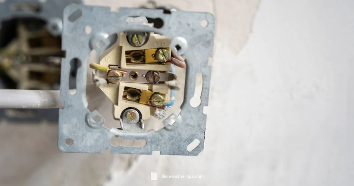 Hardwired Guide - Dishwasher Tips