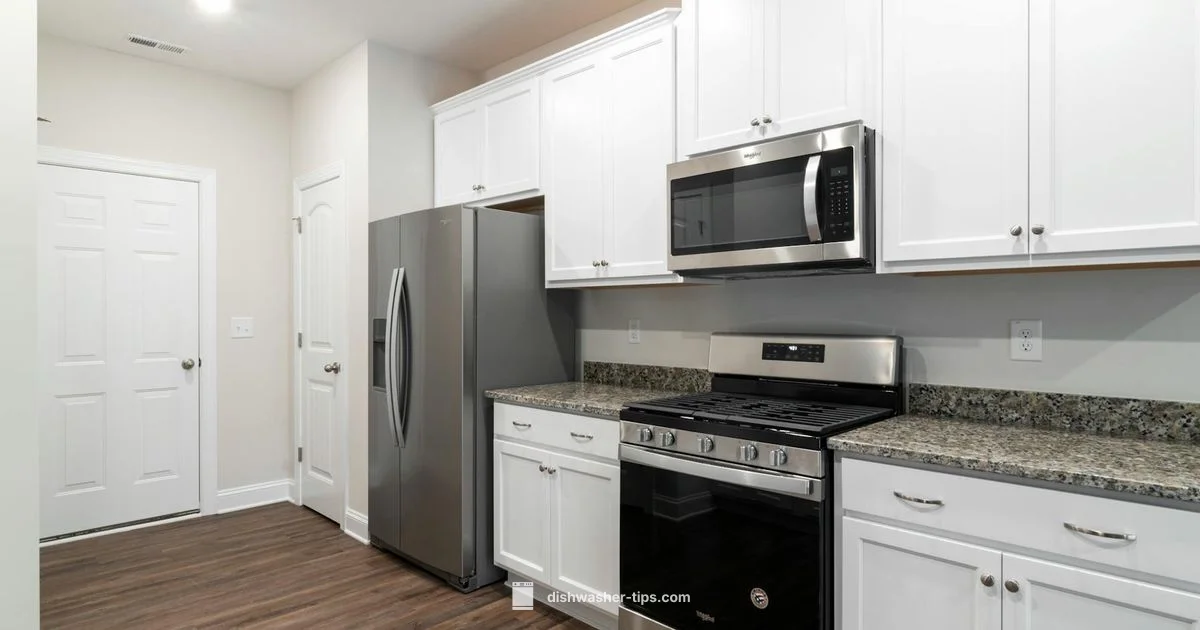 Fully Integrated Explained - Dishwasher Tips