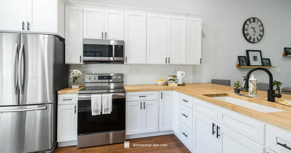 LG LDFN4542S Overview - Dishwasher Tips