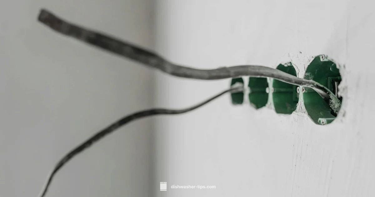 Hardwired Dishwasher Guide Hardwired Dishwasher Guide - Dishwasher Tips