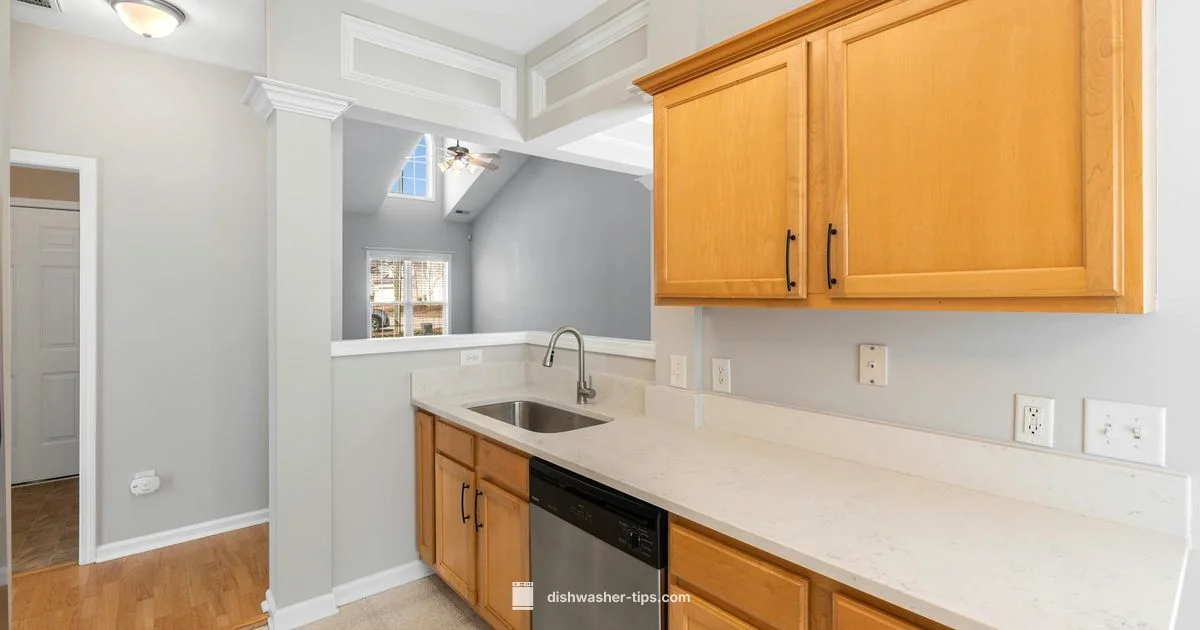 Salt Use Guide - Dishwasher Tips