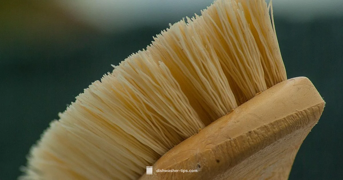 Dishwasher Cleaning - Dishwasher Tips