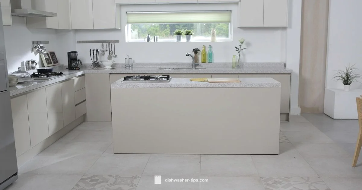 Stable Dishwasher Setup - Dishwasher Tips