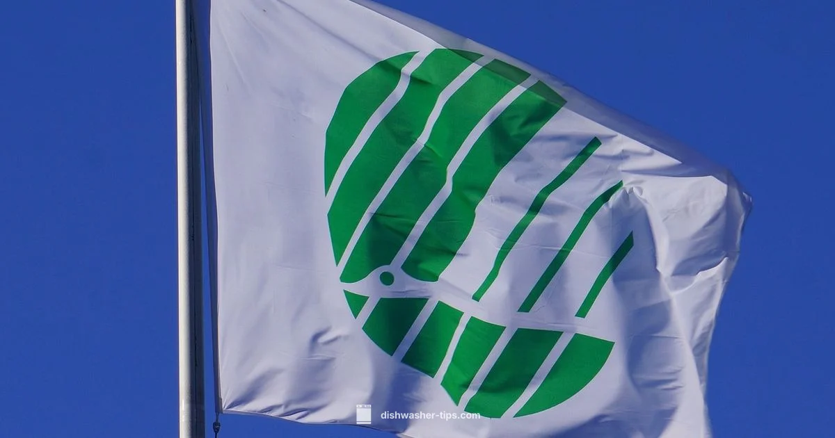 Eco Friendly Detergent - Dishwasher Tips