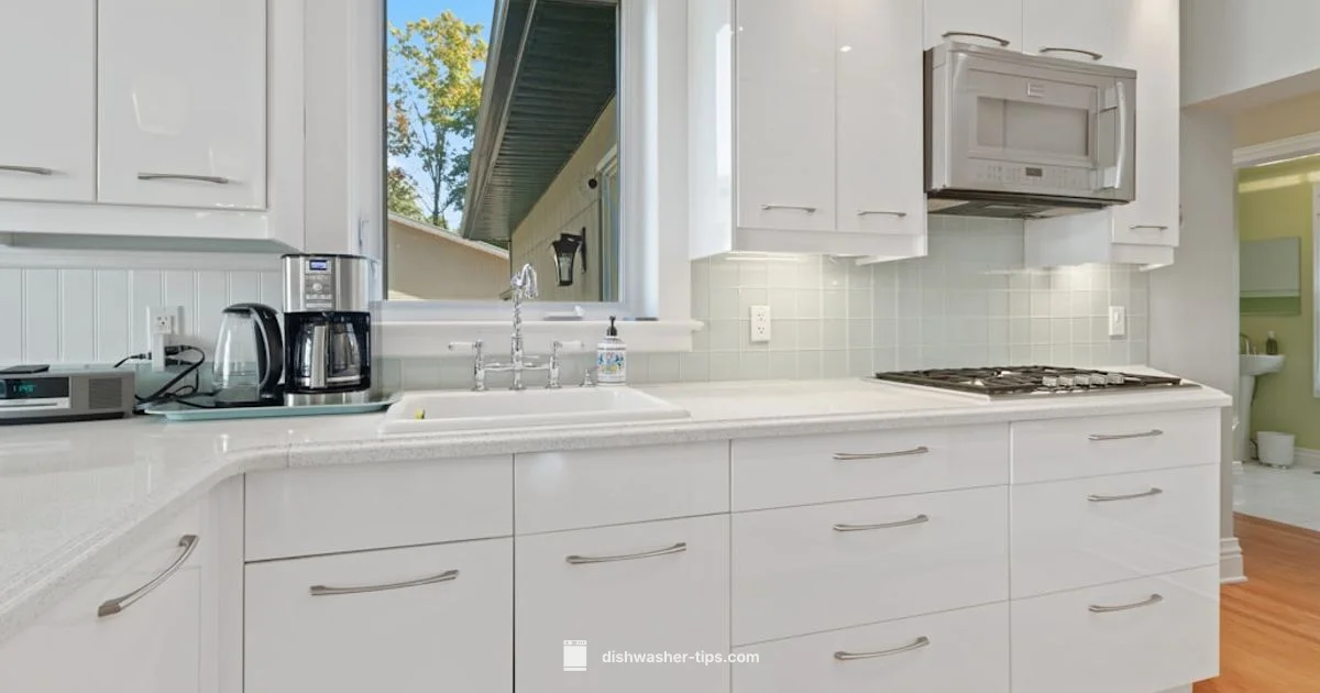 Eco Detergent Guide - Dishwasher Tips