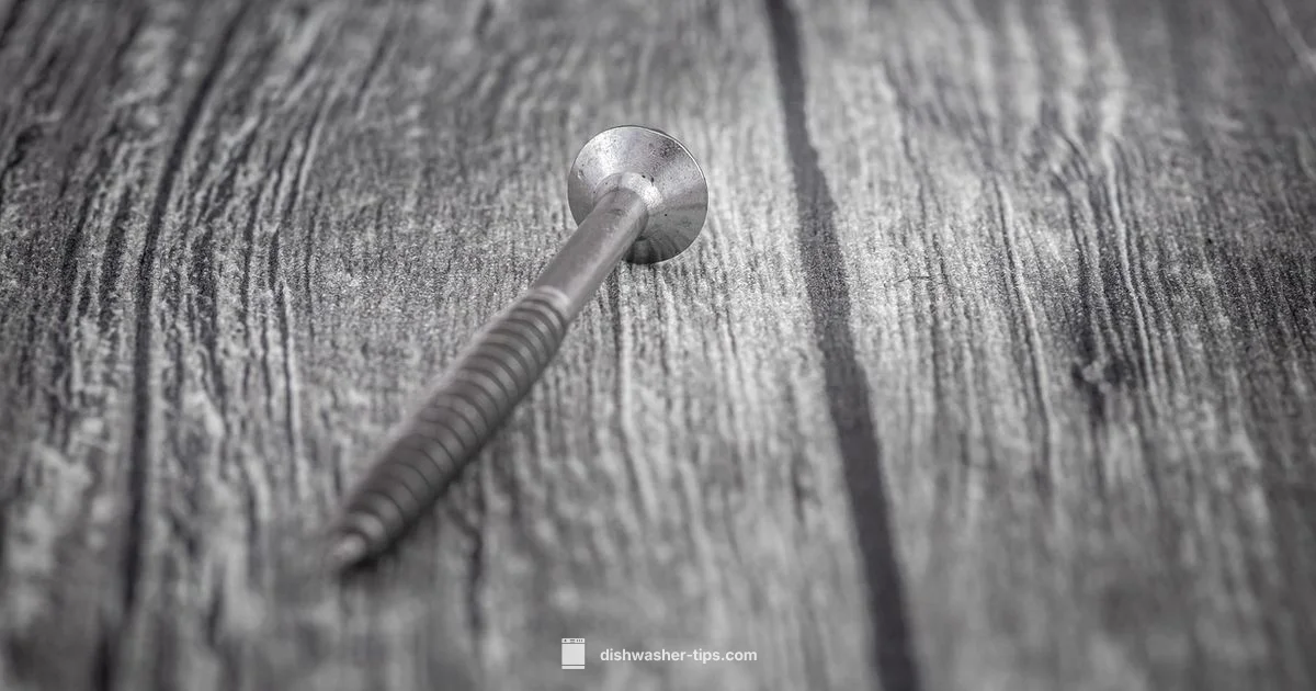 Dishwasher Stainless Steel - Dishwasher Tips