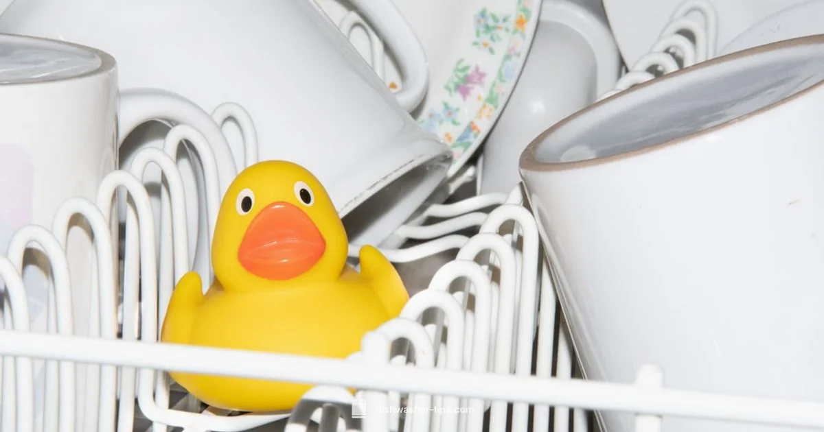 Rinse Aid Guide - Dishwasher Tips