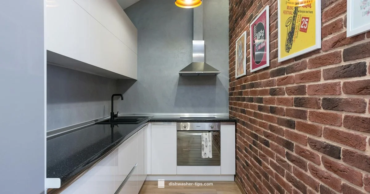 Apartment-Ready Compact Dishwashers - Dishwasher Tips