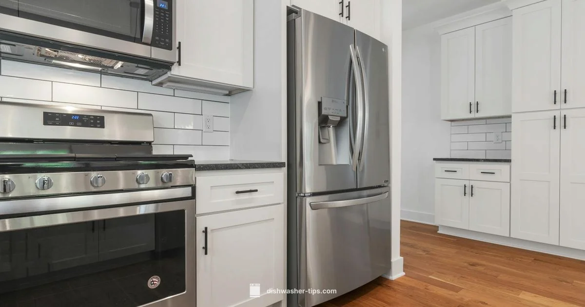 Detergent Substitutes - Dishwasher Tips