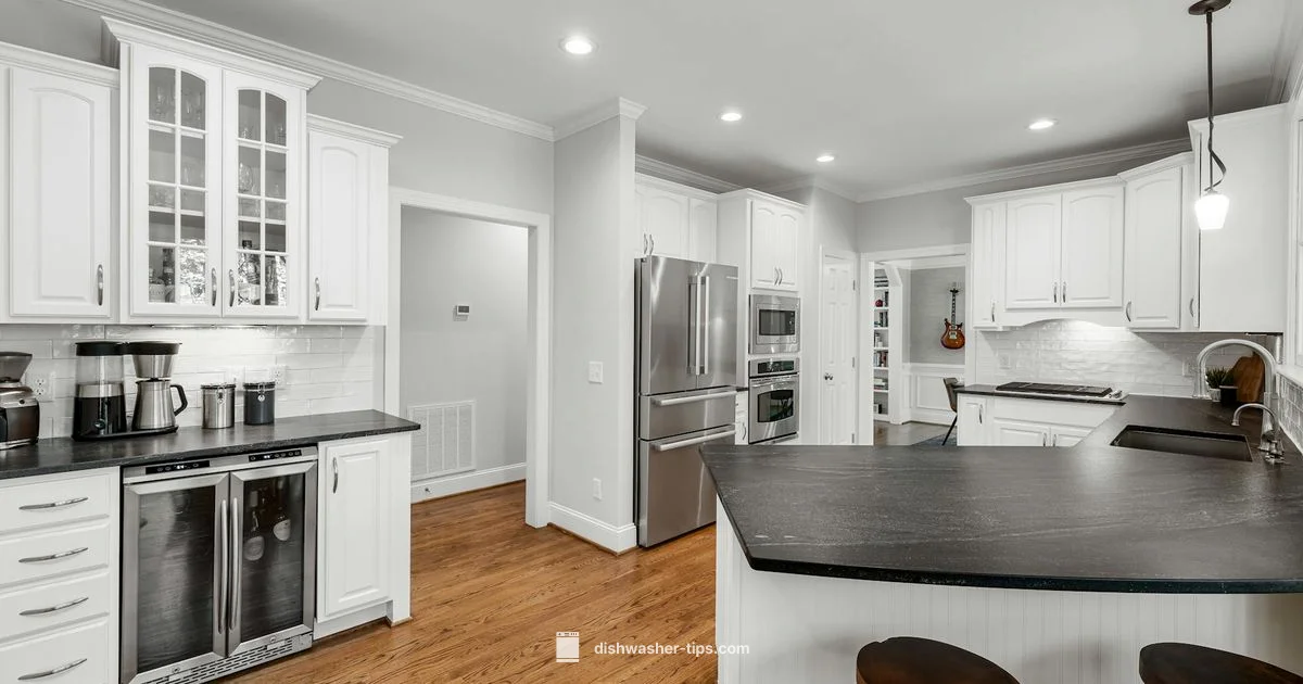 Sulfur Odor Fix - Dishwasher Tips