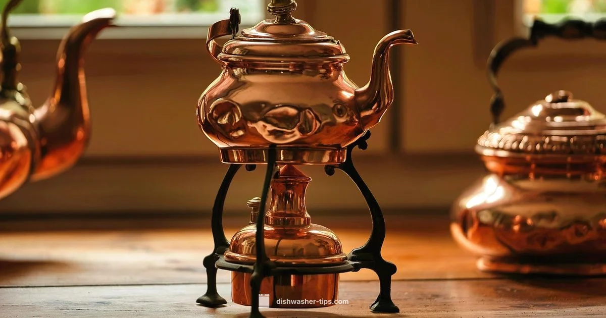 Powder Loading Guide - Dishwasher Tips