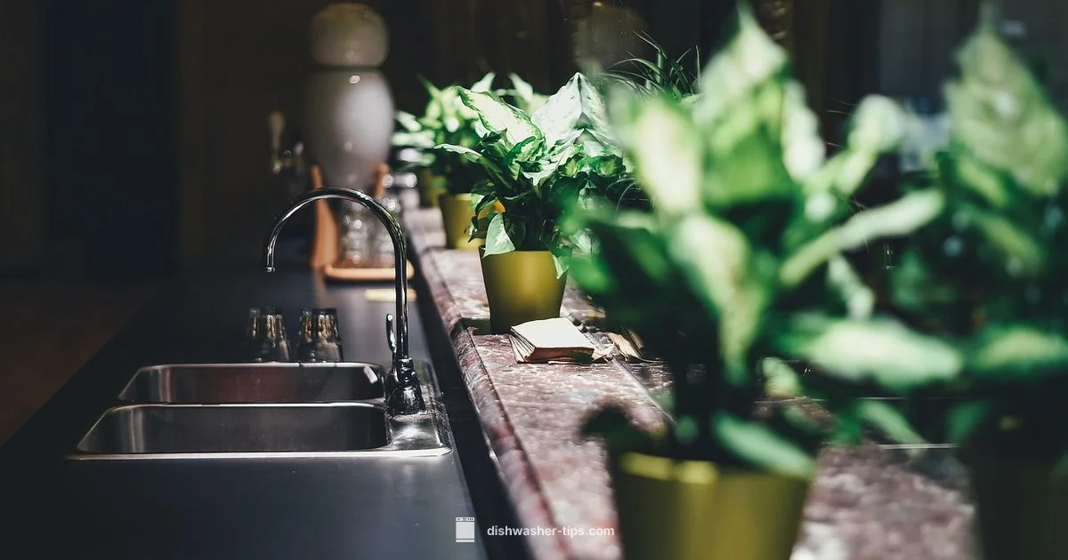 Best Dishwashers 2026 - Dishwasher Tips