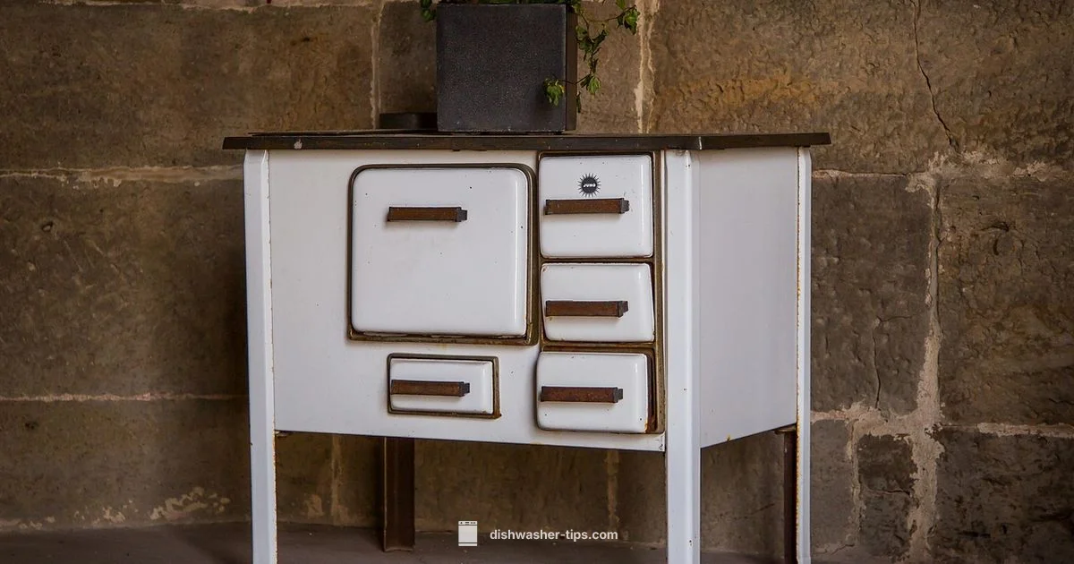 Detergent Drawer Guide - Dishwasher Tips