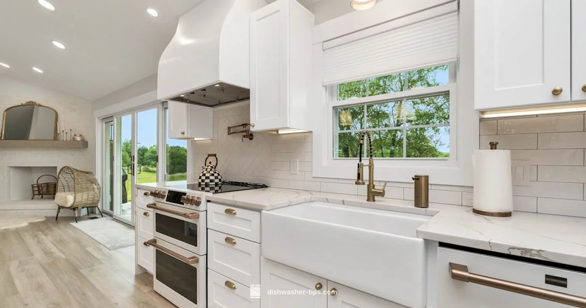 Finish Salt Guide - Dishwasher Tips