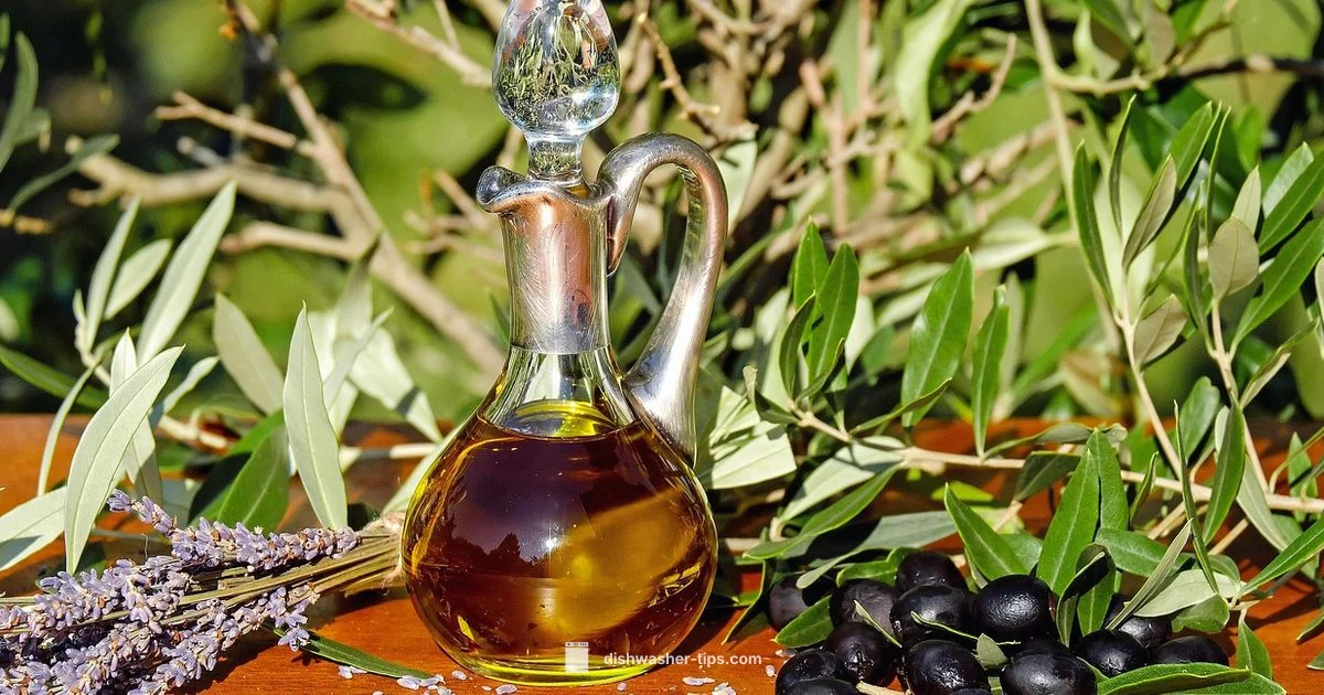 Owala Care Guide - Dishwasher Tips