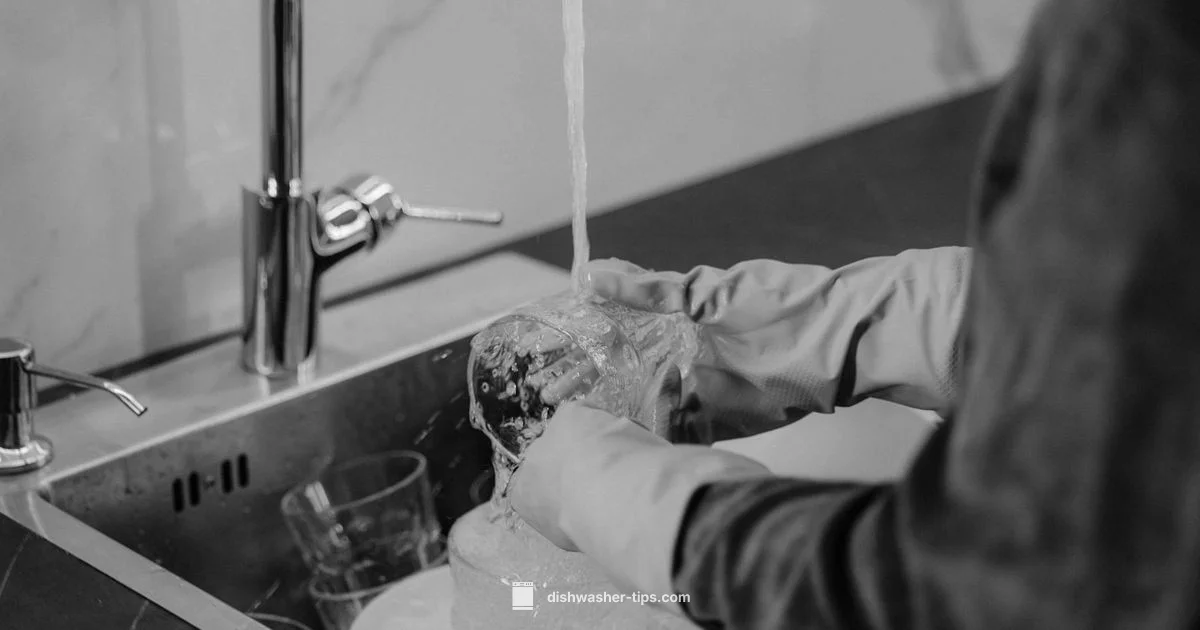 Hard Water Detergent - Dishwasher Tips