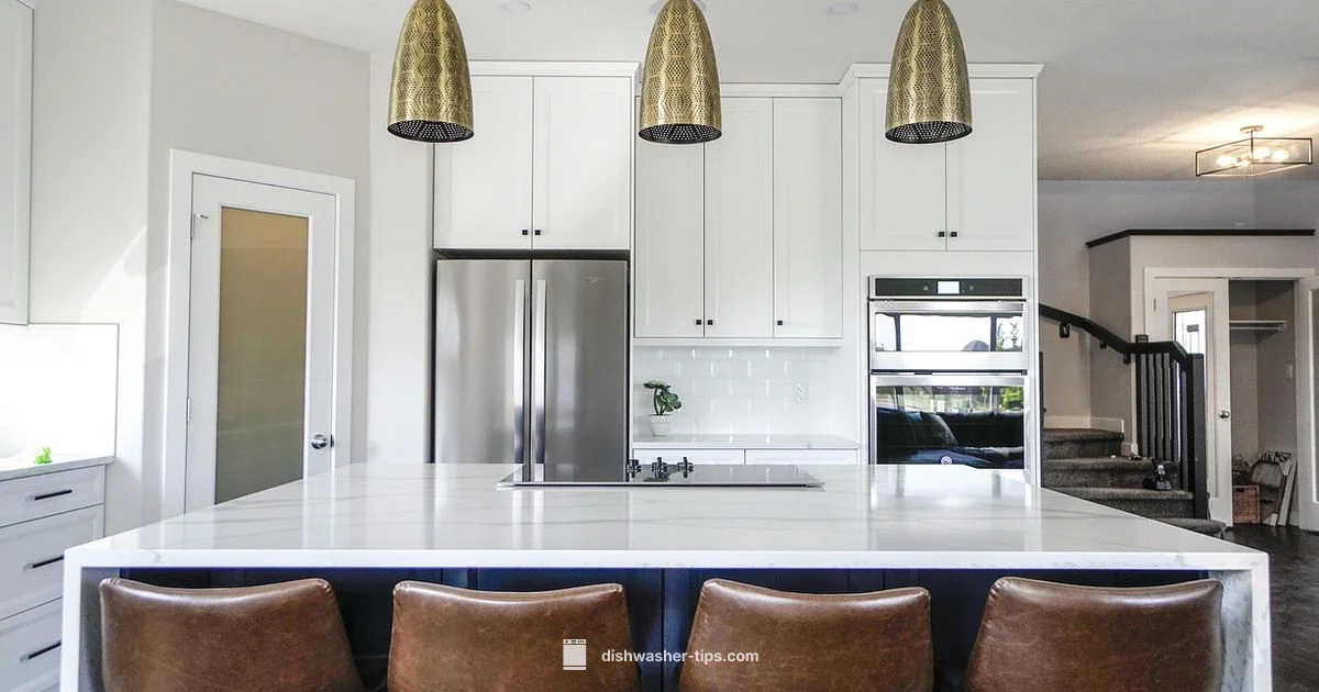 Dishwasher Dilemma - Dishwasher Tips