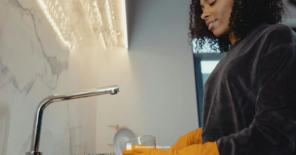 All Natural Detergent - Dishwasher Tips