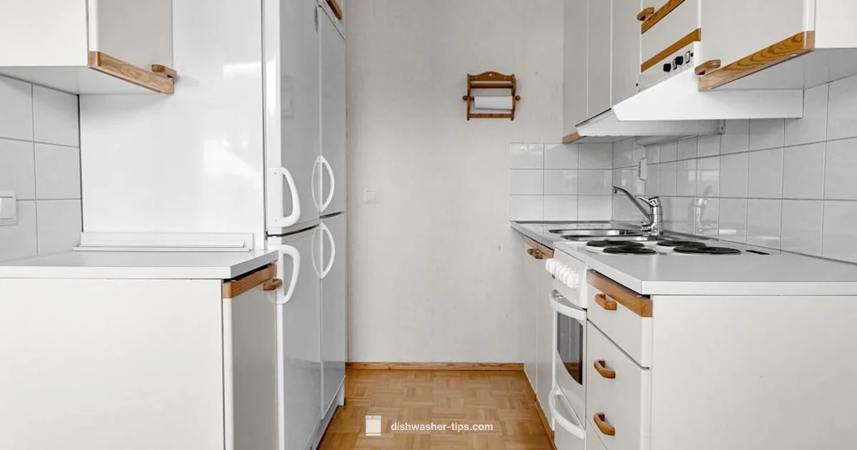 Non-Toxic Dish Liquid - Dishwasher Tips