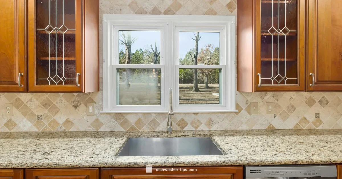 Odor Fix - Dishwasher Tips