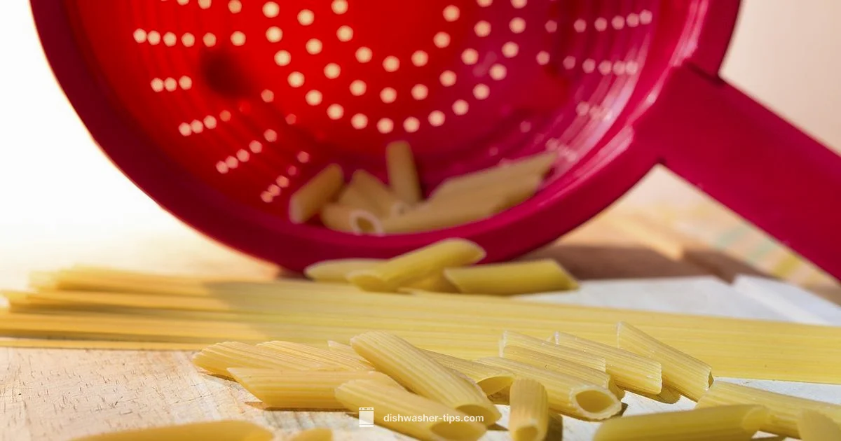 Bottle Washer Basics - Dishwasher Tips