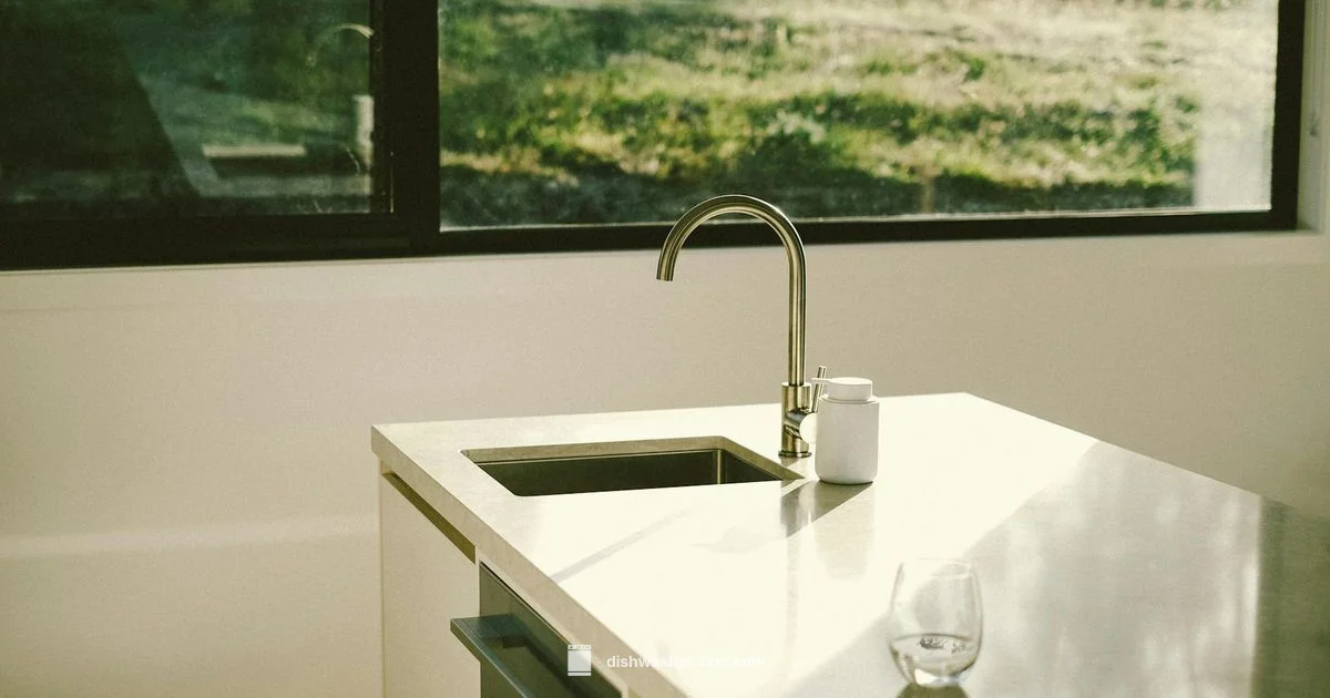 Whirlpool Filter Location - Dishwasher Tips