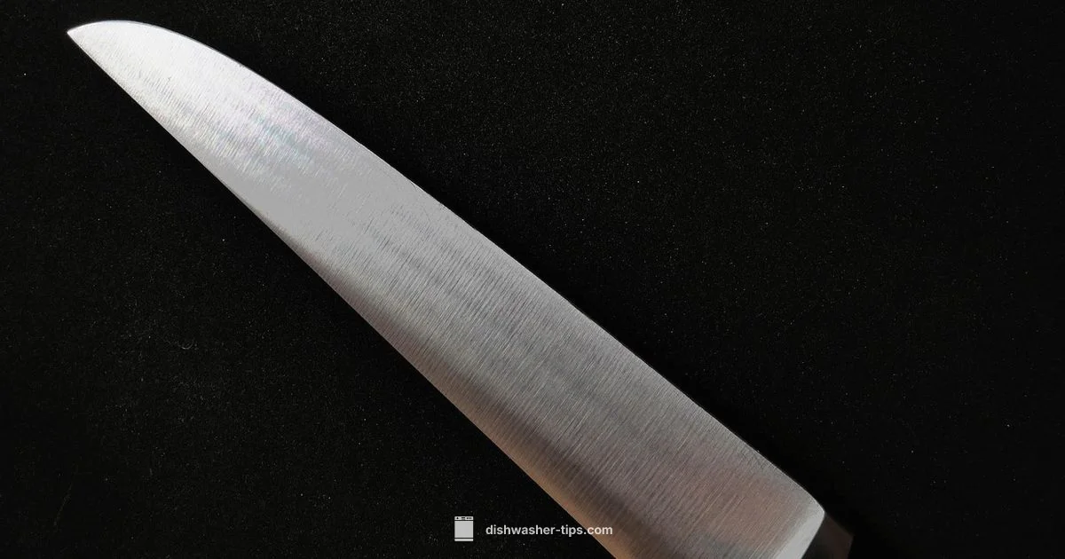 Dishwasher Knife Safety - Dishwasher Tips