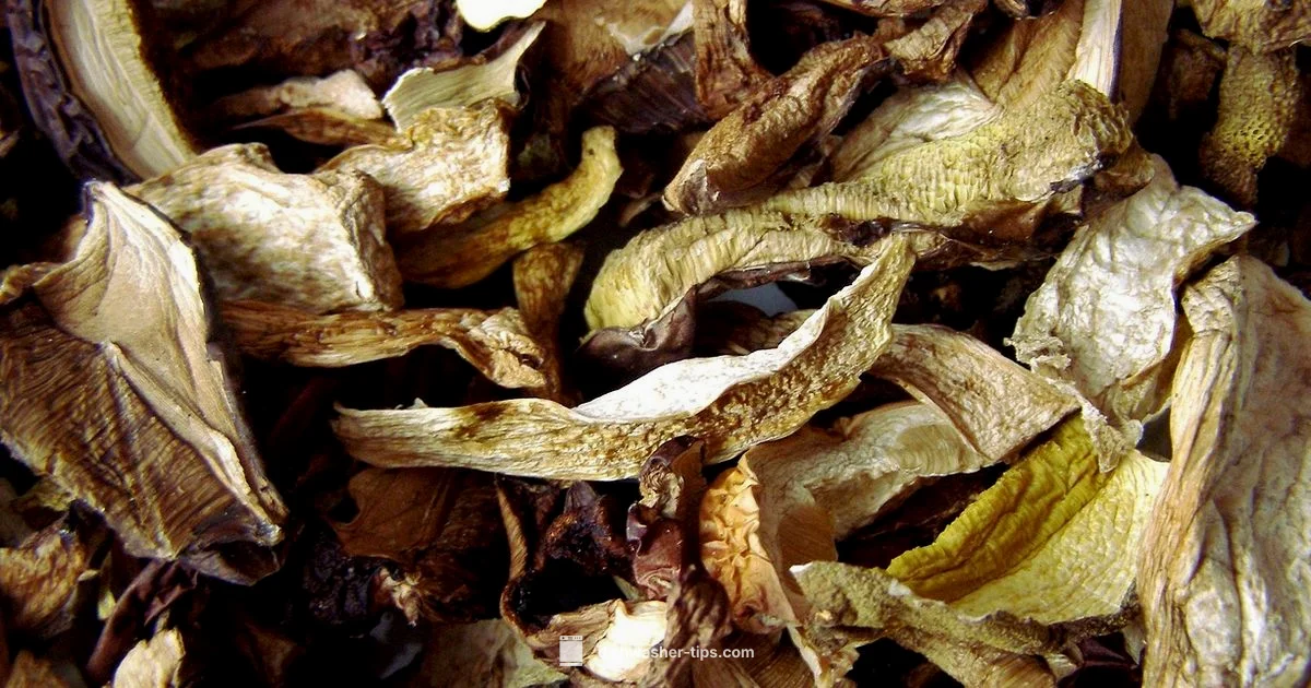 Safe Plastic in Dishwasher - Dishwasher Tips