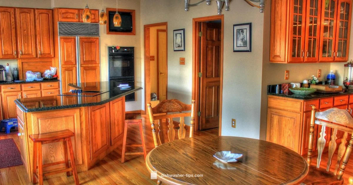 Drainage DIY Guide - Dishwasher Tips