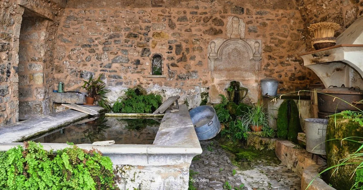 Shared Appliance Plumbing - Dishwasher Tips