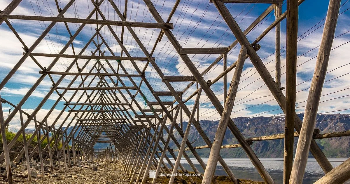 No Dishwasher Guide - Dishwasher Tips