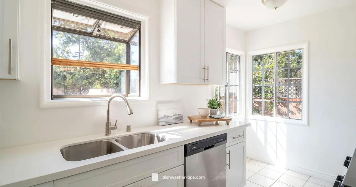 Best Dishwashers - Dishwasher Tips