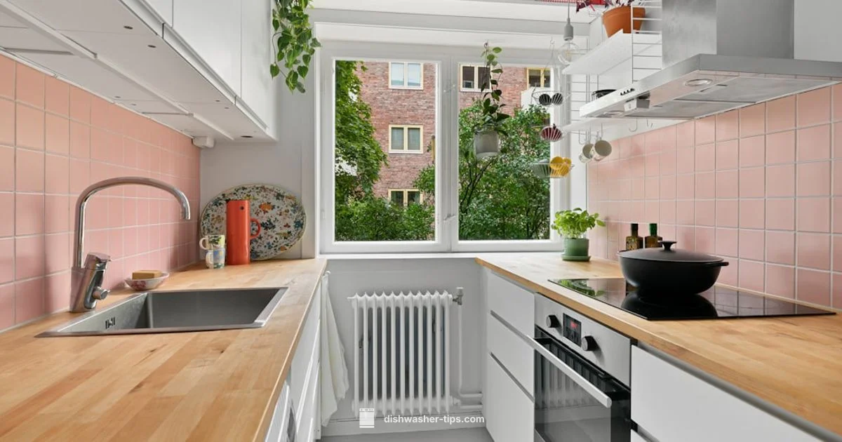 Quiet a Loud Dishwasher - Dishwasher Tips