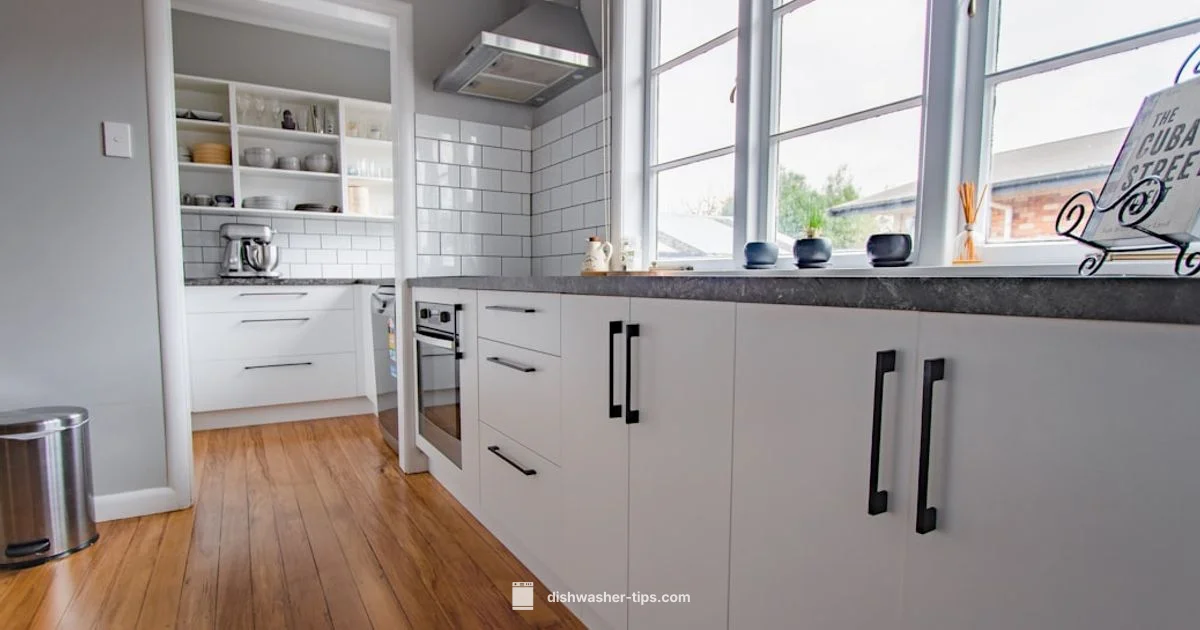 Door Alignment - Dishwasher Tips