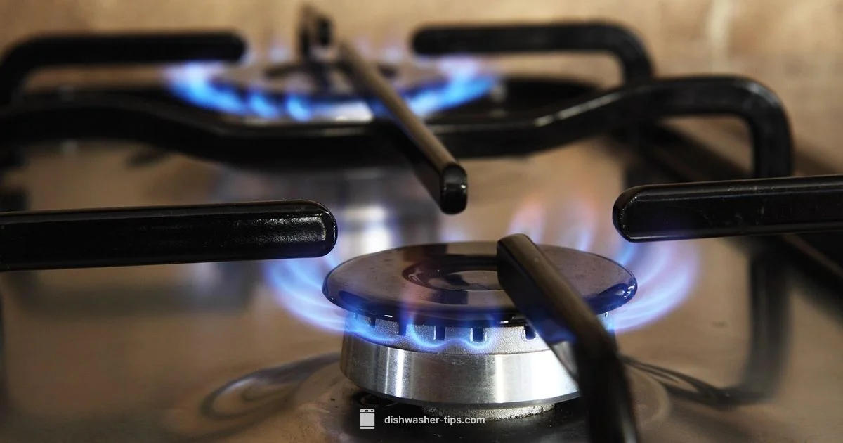 Dishwasher Replacement Dishwasher Replacement - Dishwasher Tips