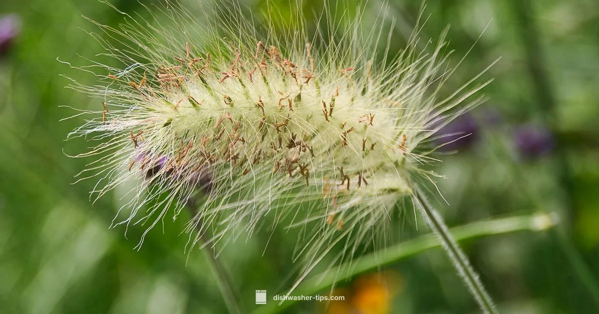 GE Filter Cleaning Guide - Dishwasher Tips