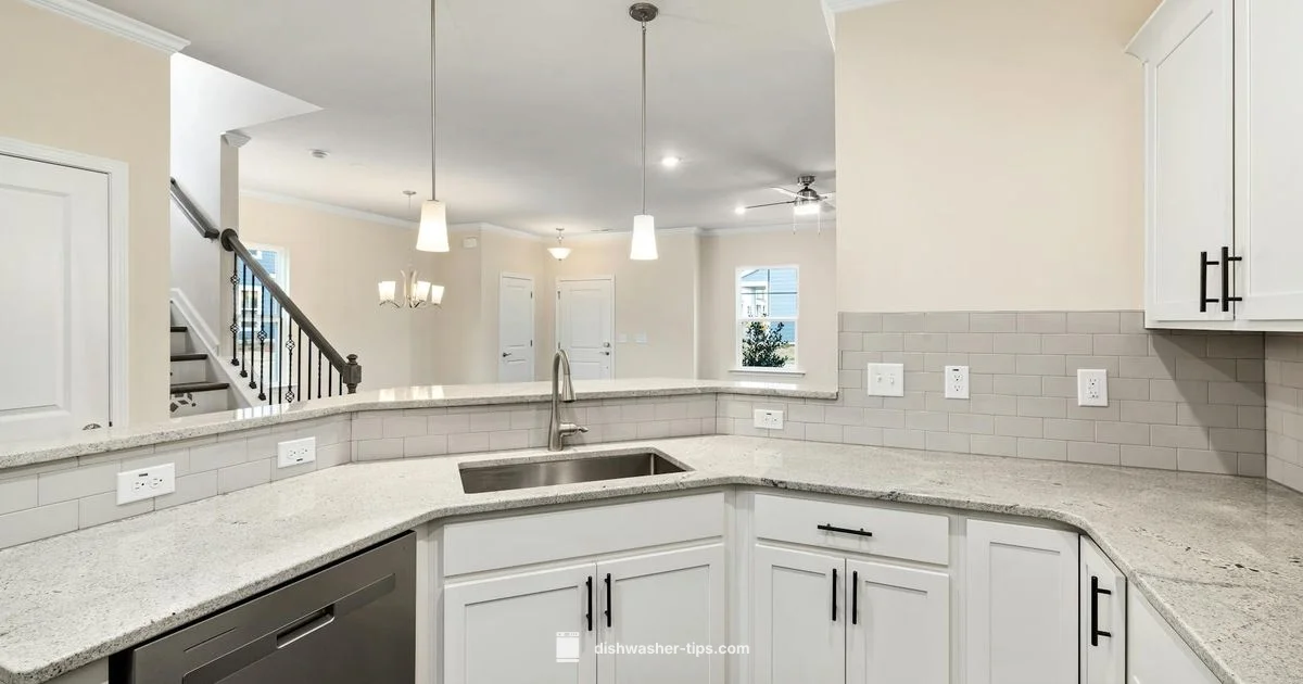 Soap Picks for Dishwashers - Dishwasher Tips