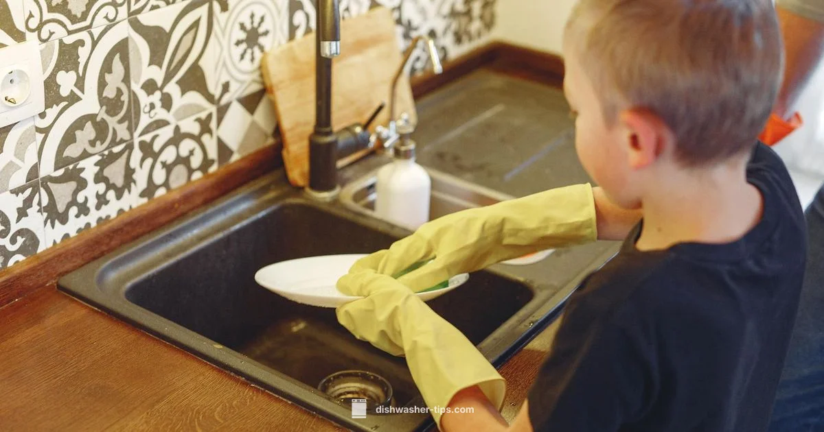 Heating Element Basics - Dishwasher Tips