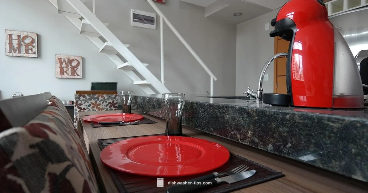 Fagor Dishwasher Care - Dishwasher Tips