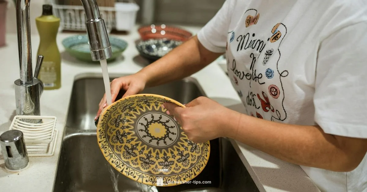 Dishwasher Install Guide - Dishwasher Tips