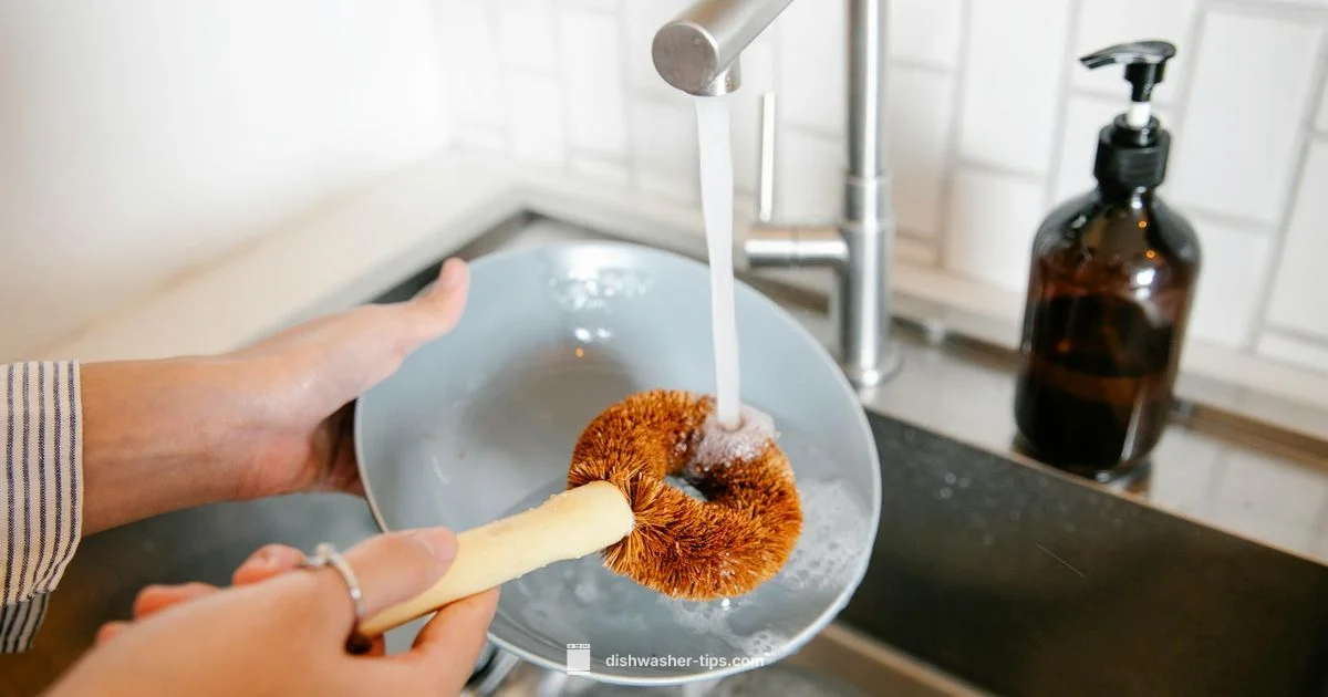 Water Use in Dishwashers - Dishwasher Tips