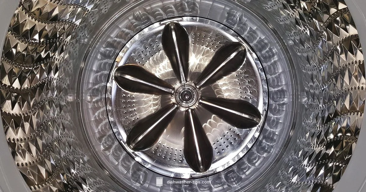 Washer Cleaning Basics - Dishwasher Tips