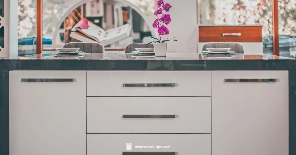 Bosch Drawer Guide - Dishwasher Tips