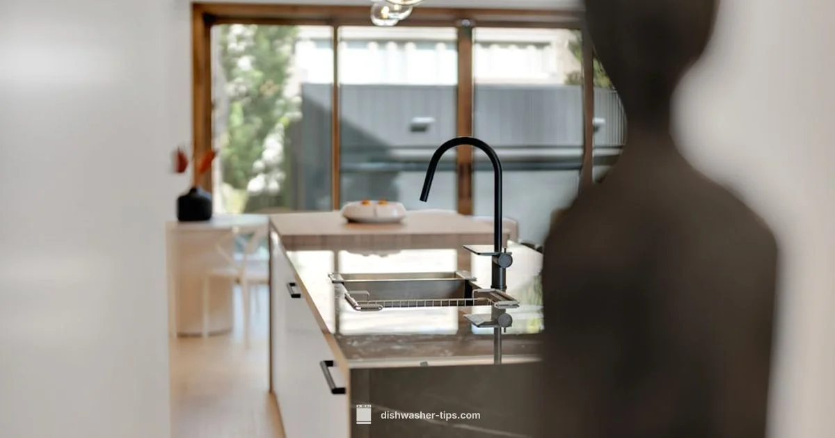 Dishwasher Adapter - Dishwasher Tips